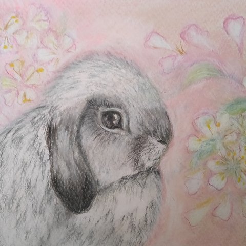 桜と〜うさぎ〜【パステル画 絵画 原画】