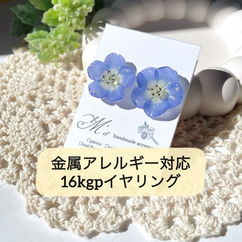 260【オーダー】ネモフィラ 16kgpイヤリング 本物のお花 レジンアクセサリー