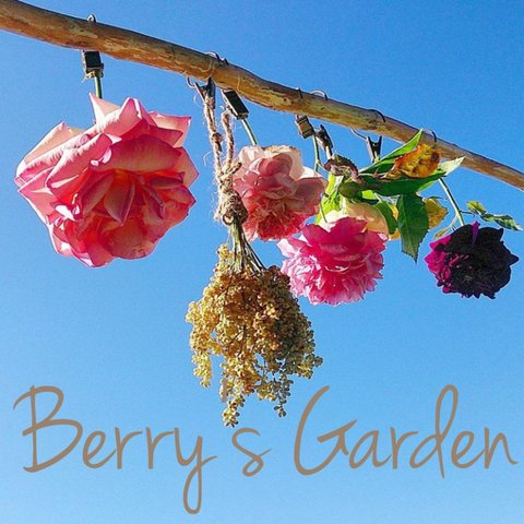 Berry’s Garden today’s photo