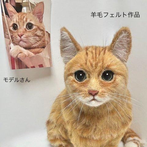 子猫ちゃん◇生後1ヶ月◇ほにゃほにゃベビー ◇アートドール◇ 子猫ちゃん◇生後1ヶ月◇ほにゃほにゃベビー ◇アートドール◇