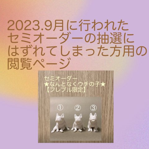 2023.9月に行われたセミオーダー"なんとなくうちの子"の抽選にはずれてしまった方用の閲覧ページ