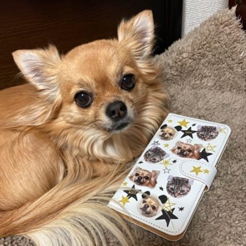 うちの子百面相☆スマホケース│犬　猫　うさぎ│iPhone　Android│オーダーメイド