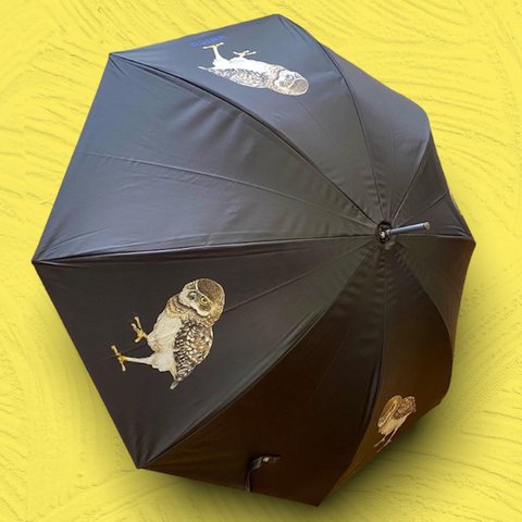 フクロウの傘🦉☂️【晴雨兼用】