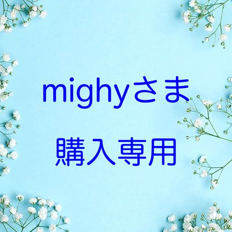 mighyさま 購入専用