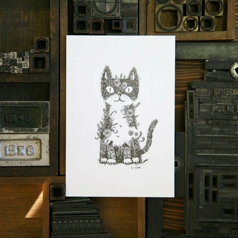 酒井ひさお「溢れる森で」活版印刷のポストカード・グリーティングカード/猫・ネコ