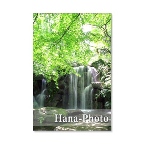 1091) 美しい新緑と水の風景   ポストカード5枚組