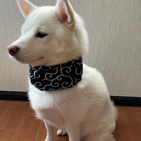 洗濯OK!  犬用 中型犬 クールスヌード ♡ クールネック ♡ クールバンダナ ♡ 唐草模様 濃紺