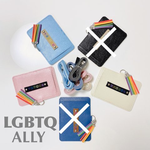 【S-45】LGBTQ レインボー アライ ユニセックス IC カードケース