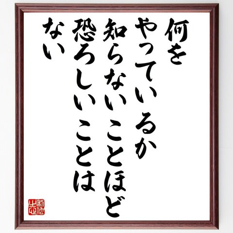 ゲーテの名言「何をやっているか知らないことほど恐ろしいことはない」額付き書道色紙／受注後直筆（V1211）