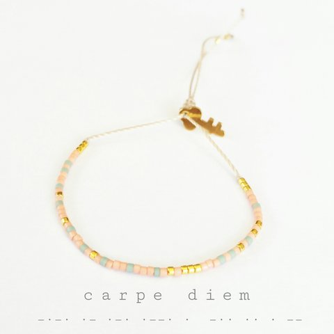 carpe diem -その日をつかめ-