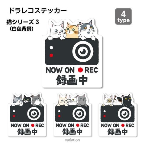 【猫シリーズ３（白色背景）】ドラレコ　ドライブレコーダー　ステッカー　シール １枚