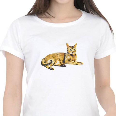 アビシニアン猫の半袖Tシャツ〜シンプルシリーズ〜　レディース　メンズ　あります