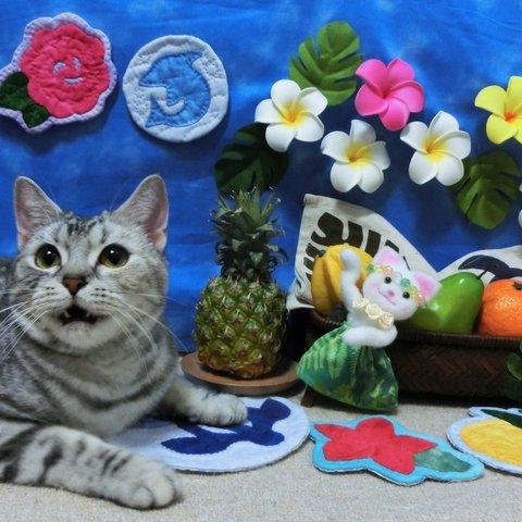 猫のポストカード2枚組（別写真） 夏 ハワイ スイカ 羊毛フェルト