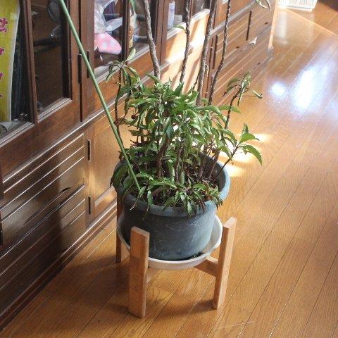 植木鉢ラック　　どんなサイズでも作成させて頂きます。