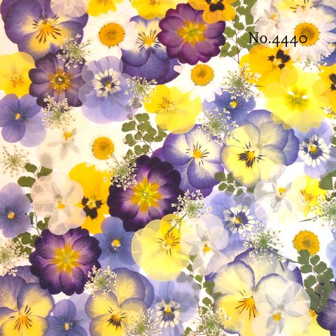 ♡new♡作家様必見♡押し花MIXセット♡押し花セット