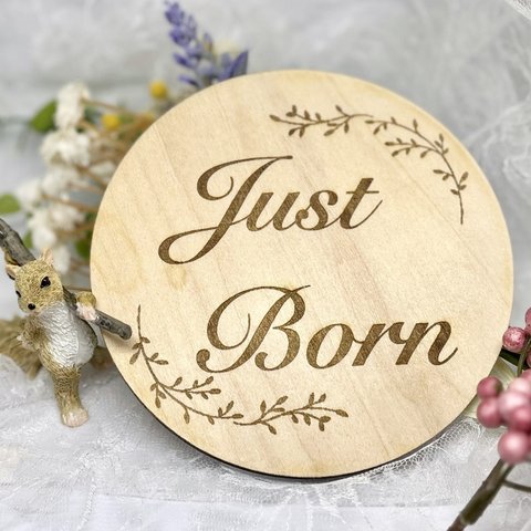 ❤︎.*Just born❀.*･ﾟ ミモザ  スタンド付き 木製プレート  ジャストボーン メモリアル 記念品 バースプレート 木製プレート ニューボーンフォト justborn