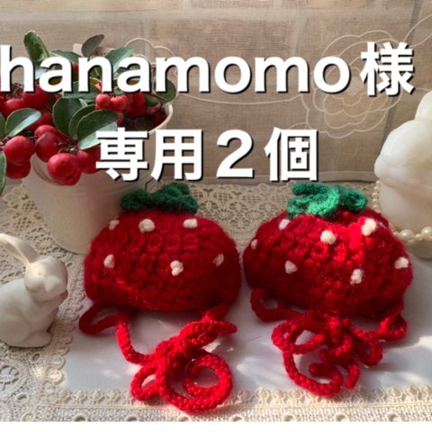 hanamomo様専用　犬の帽子🍓いちごちゃん