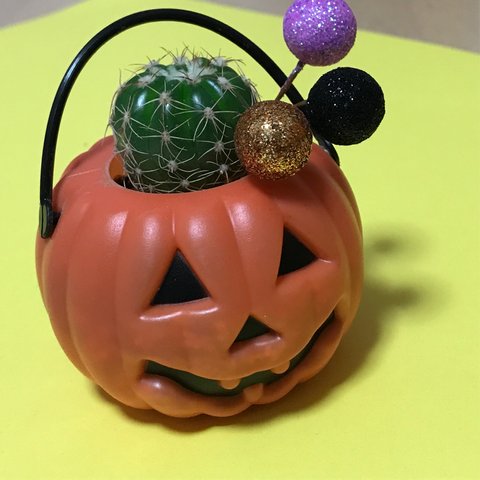 サボテンくんのハロウィン