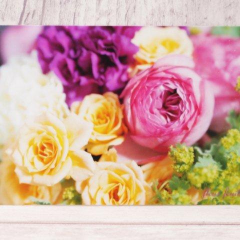 vitamin color flowers ~ 花写真のポストカード (2枚セット)