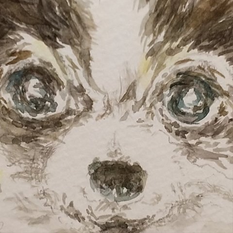 犬　水彩画