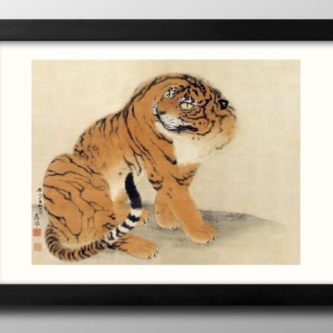 13394■A3アートポスター『円山応挙　座っている虎』絵画　イラスト　デザイン　北欧　マット紙