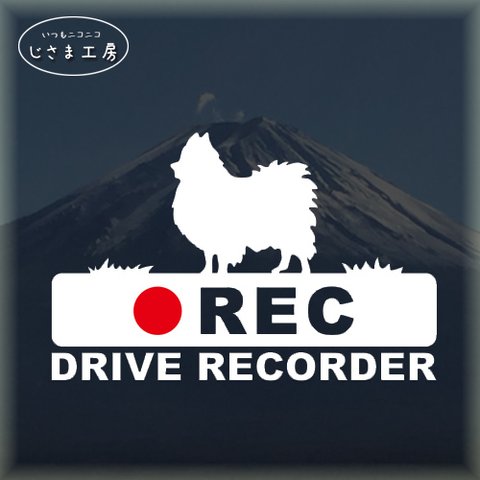 ポメラニアンの白色シルエットステッカー‼後方注意‼『DRIVE　RECORDER』