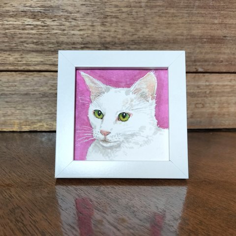 保護猫ハウス支援　猫イラスト原画　白猫さん　