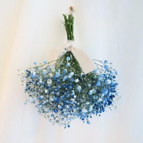 royal blue baby's breath swag（ロイヤルブルーかすみそうのスワッグ）かすみそう ドライフラワー