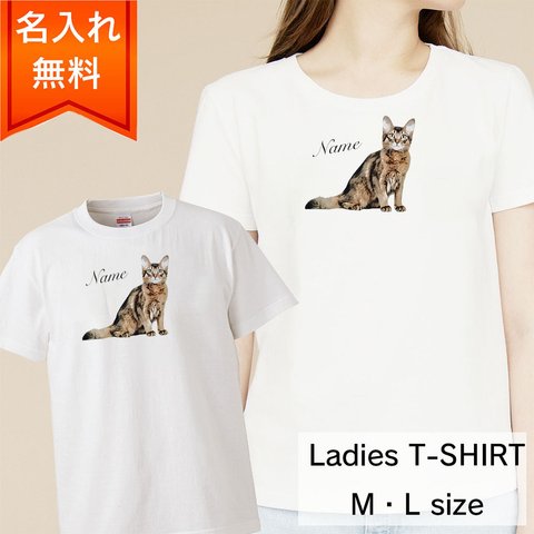 ソマリ 猫 の レディース Tシャツ / 猫好きさんへのギフトに 選ばれている大人気商品です！ラッピングできます！