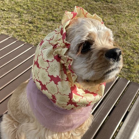 犬用スヌード　桜デザイン