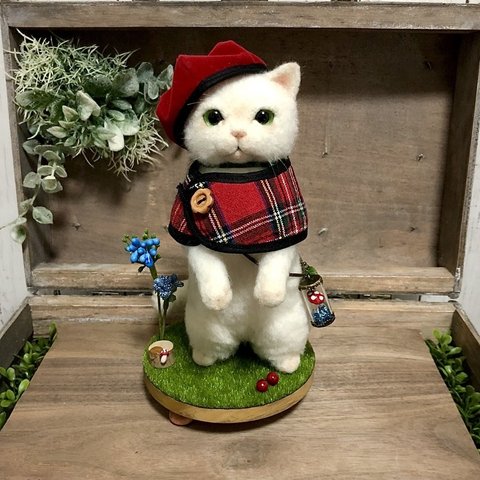 ネコずきんちゃん🐈🌳🍃お洒落コーディネート付き