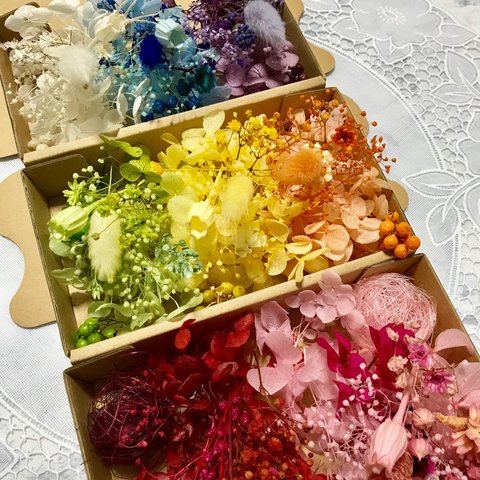 8色3Box欲しいカラーフラワーBox＊ハーバリウム 花材ドライフラワー  花材セット