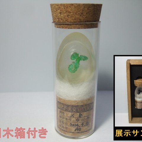 【箱付】ドラゴンの卵【Dragon Egg】+ 専用木箱　（緑-1）