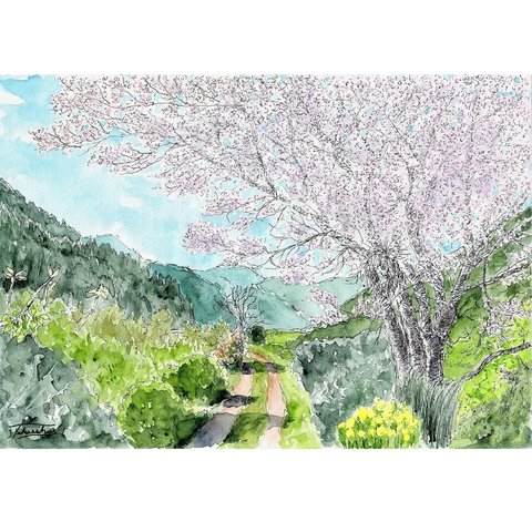 里山に咲く桜　原画一点物