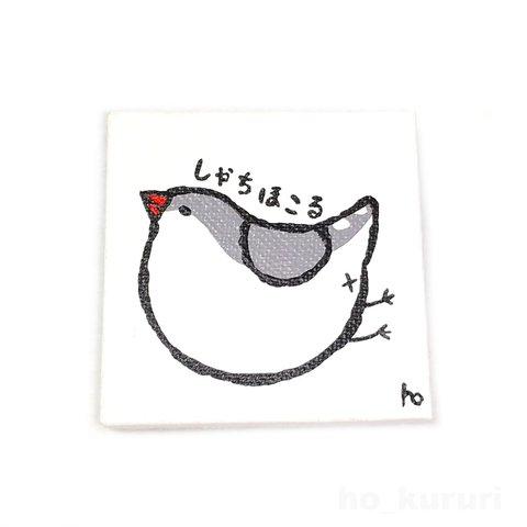 キンカチョウ 錦華鳥 ミニキャンバス 原画イラスト マグネット 5004