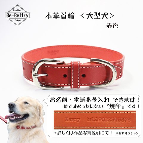 【送料無料】本革レザー首輪〈大型犬〉ヌメ革　赤色　幅２４ｍｍ　首回り４０cm～６０cm対応可