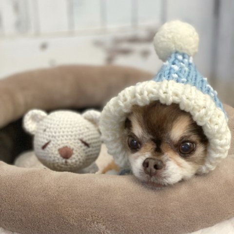 犬 SSサイズ ニット ぽんぽん 帽子 ♡‪ 水色 ブルー 猫 ペット クリスマス サンタクロース かぶりもの 被り物 小人帽 ニット帽