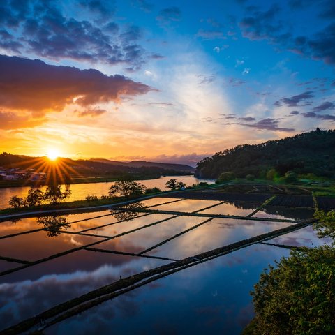 日本の原風景・水田と最上川に沈む夕日の他、甘く切ない夕景の数々・夕暮れ[Ⅰ]／フォトカード(ポストカード可)／５枚組