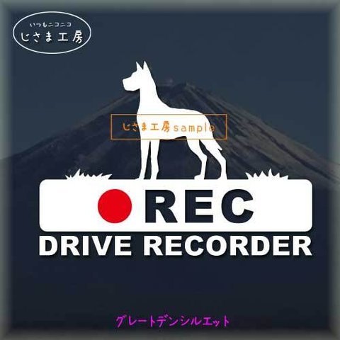 グレートデンの白色シルエットステッカー‼後方注意‼『DRIVE　RECORDER』