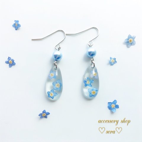 ✨再販2✨勿忘草のしずくピアス／イヤリング