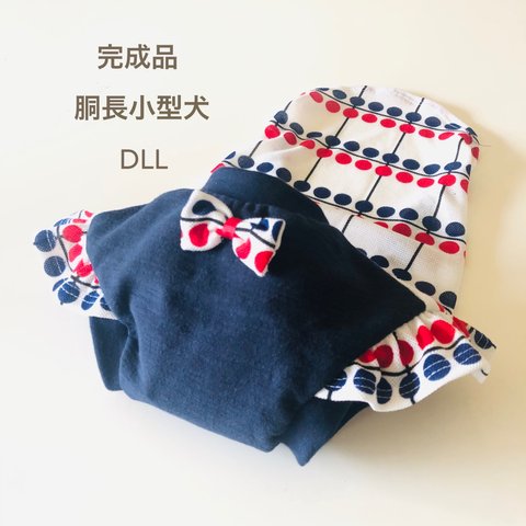 胴長小型犬  DLLサイズ 現品