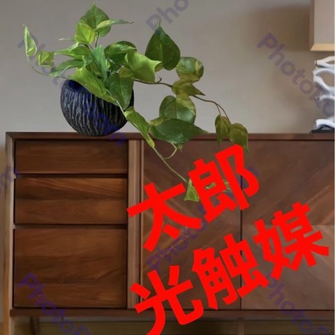 光触媒　人工観葉植物　ウォールグリーン　フェイクグリーン　ポトス花器付