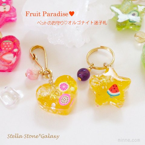 ✨ペットのお守り🍉フルーツ パラダイス🍊オルゴナイト迷子札＊スイカ＊ドラゴンフルーツ＆ピンクグレープフルーツ＊イエロー＊パワーストーンチャーム＊犬・猫用＊誕生石＊水晶＊樹脂＊レジン＊天然石