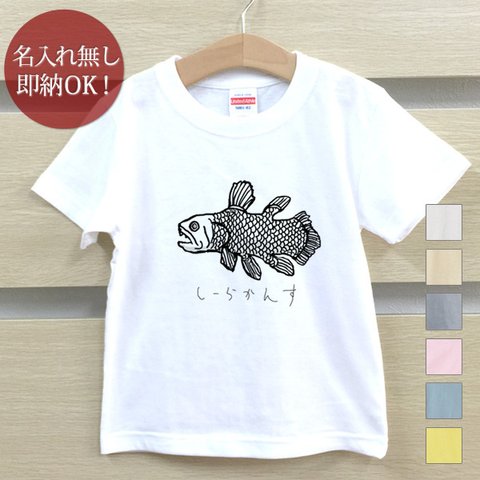 Ｔシャツ ベビー キッズ 子供 おもしろ ウケねらい シーラカンス 魚 深海魚 古代魚  即納