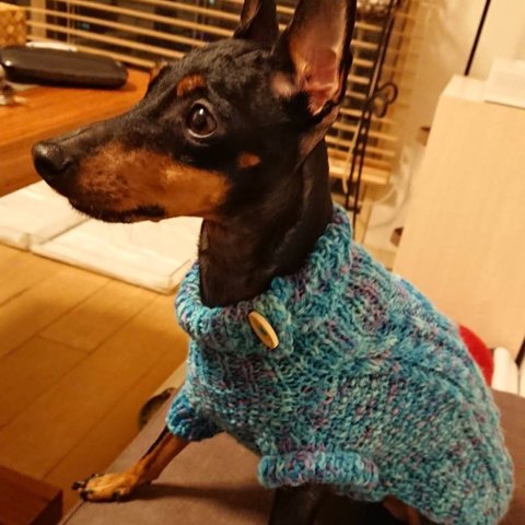 ボタンがかわいいアラン編みセーター 水色 犬服　猫服S〜Mサイズ