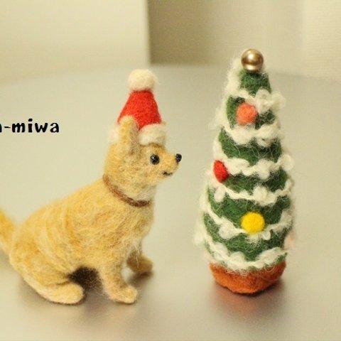 チワワンタさんとクリスマスツリー