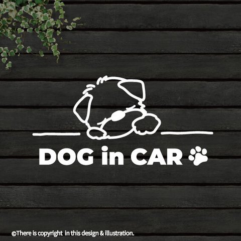 DOG IN CAR/ マルチーズ/B【カッティングステッカー】手書きわんこ