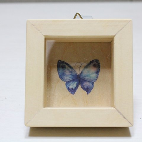 蝶の小箱