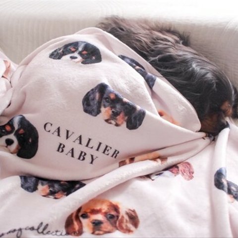 【再入荷】Cavalier BabyシルクタッチブランケットM