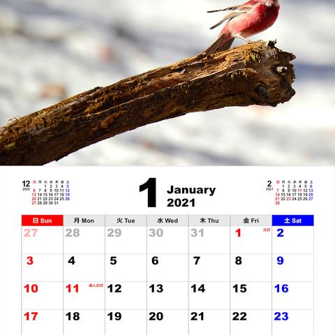 （シャッフル可）2021年Ａ４スタンドカレンダー野鳥その３